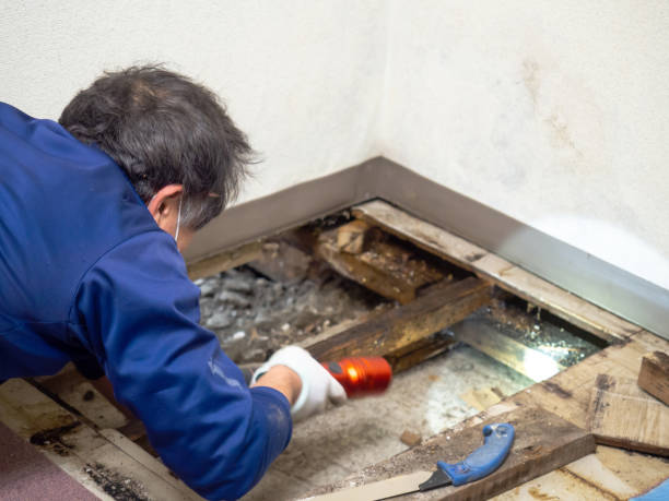 Best HVAC Mold Remediation in Lennox, SD