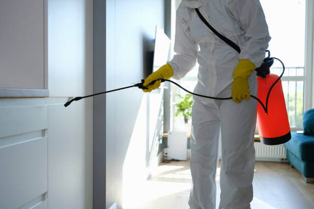 Best Residential Mold Remediation in Lennox, SD