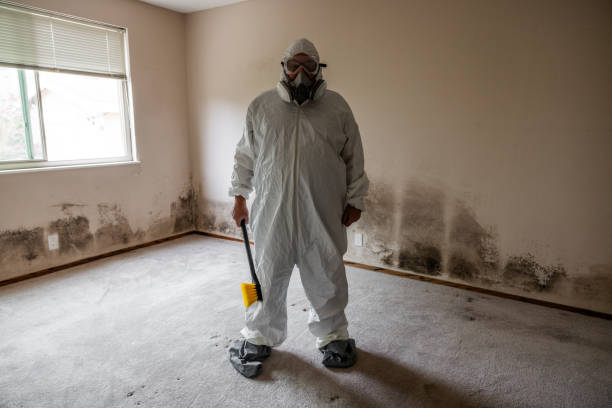 Best Mold Remediation for Specific Building Types in Lennox, SD